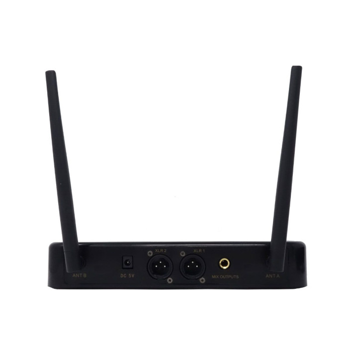 EMPIRE Coppia microfoni wireless con ricevitore UHF